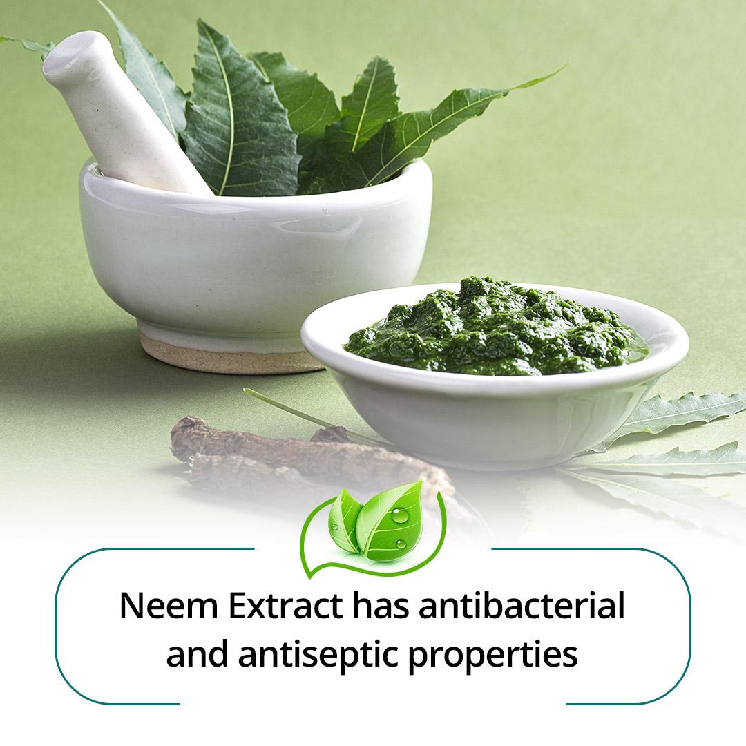 Toothpaste Dental Cream Neem Himalaya